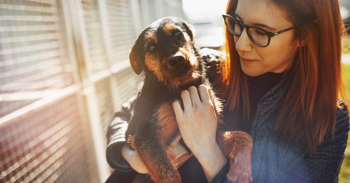 Seeing Your Spiritual Animal