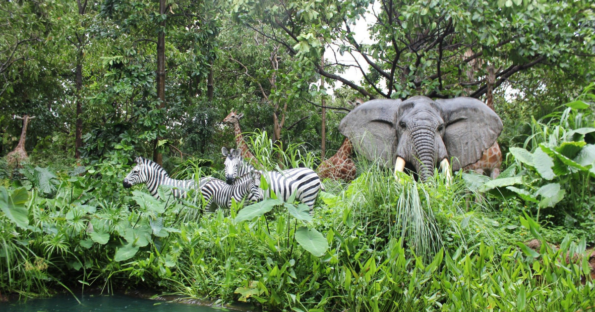 Animals Checking Up On You