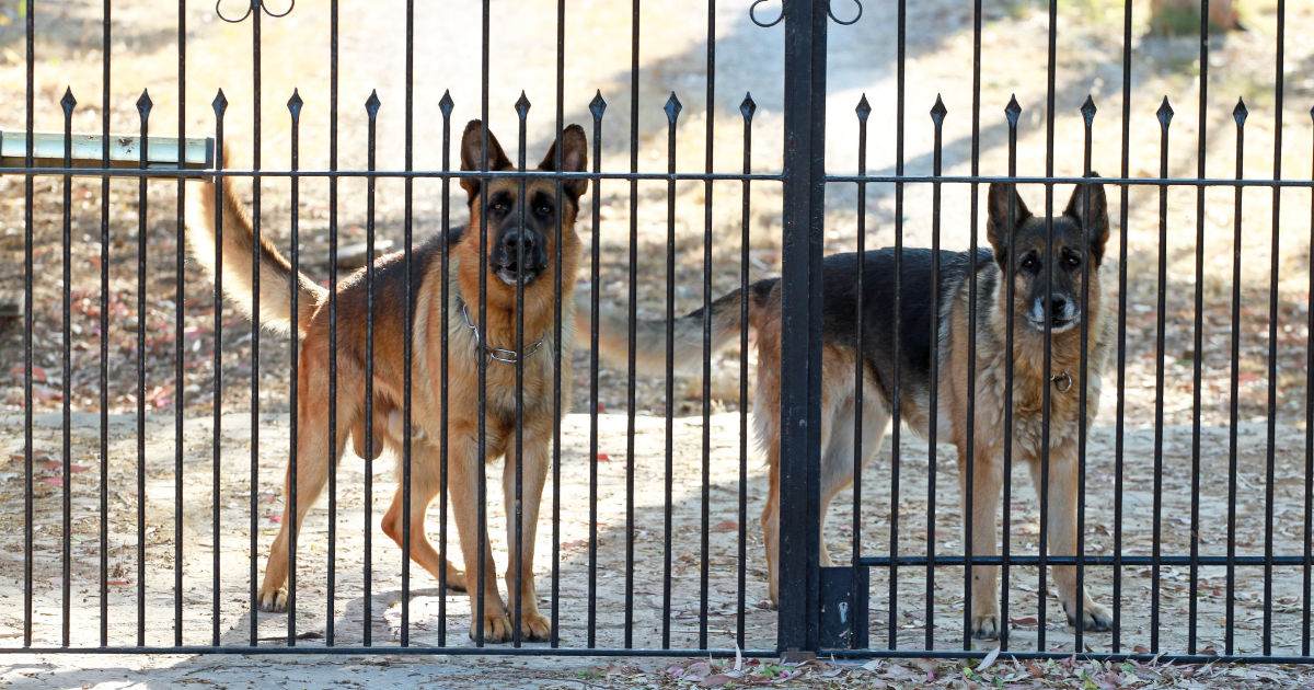 Being on Guard for You