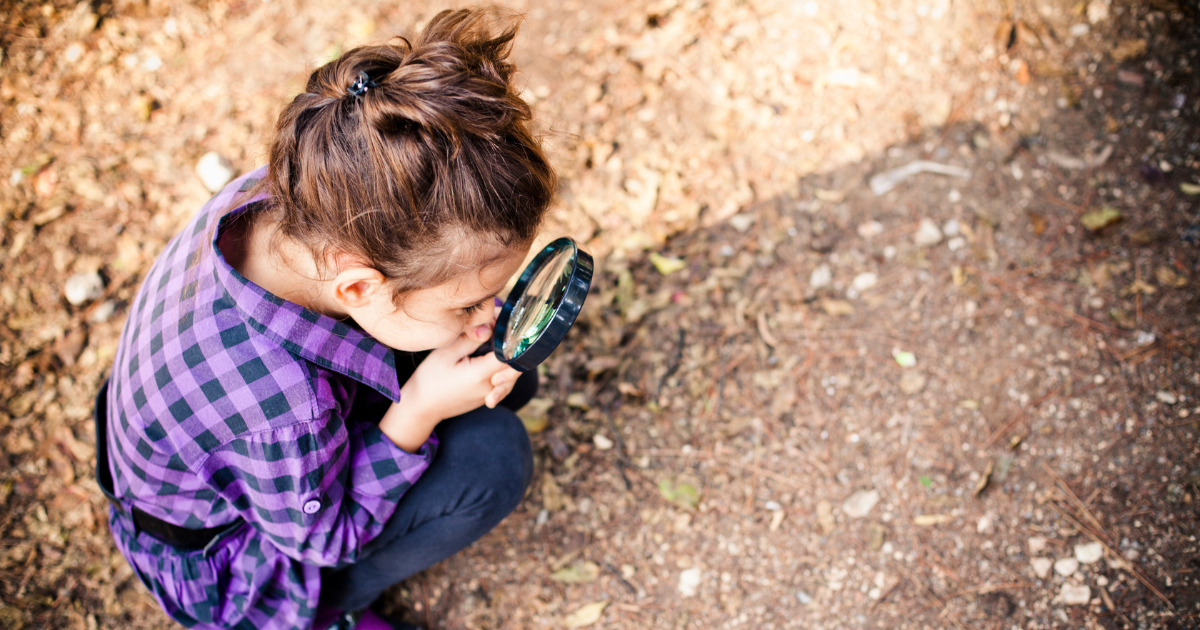 Curiosity and Wonder