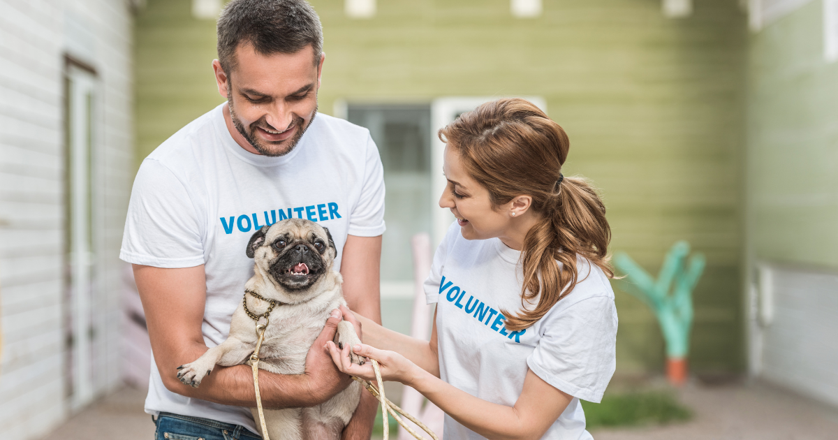 Happy People or Animals 