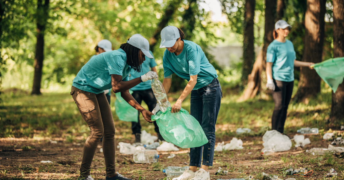 Minimalist Environment