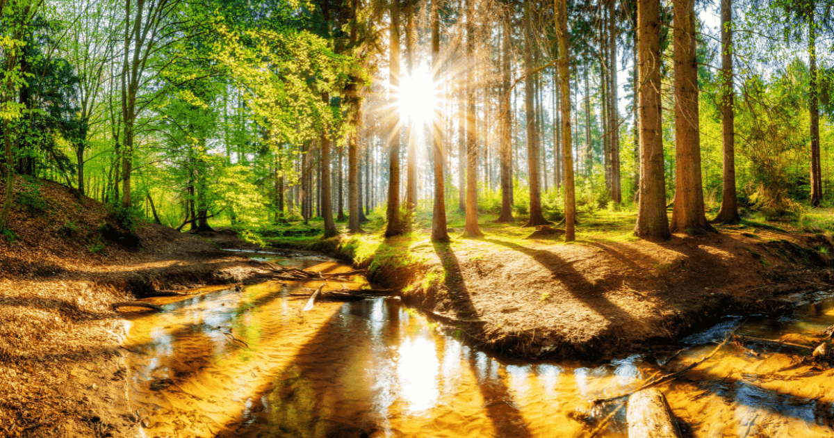 Prayer for a Beautiful Weather