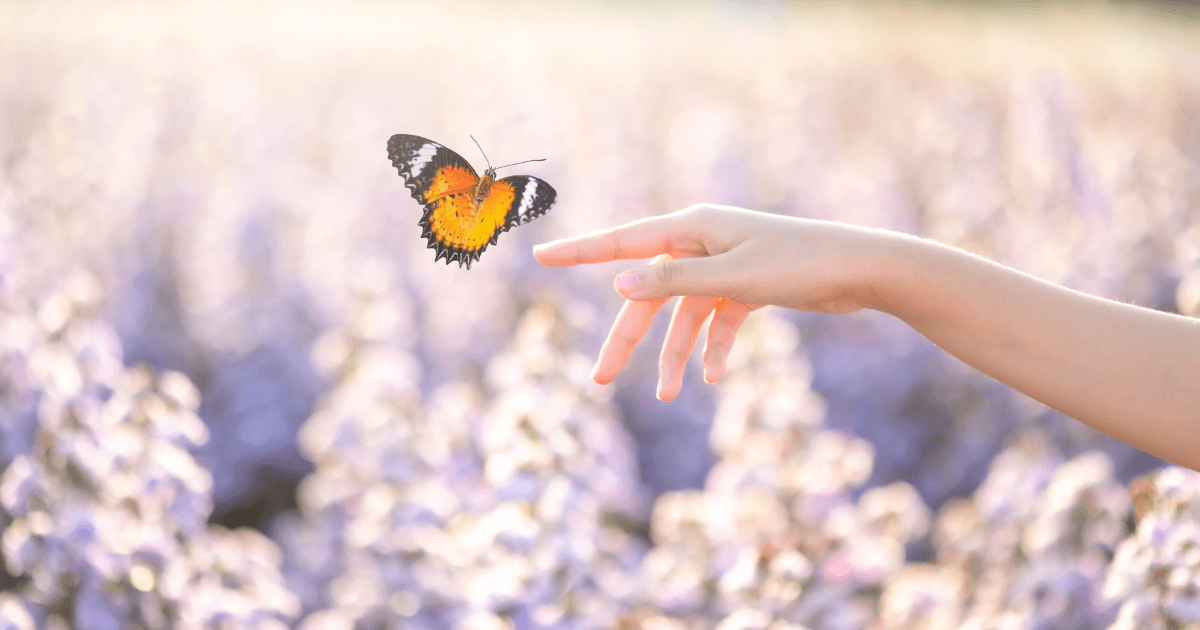 A Call for Rebirth/Rejuvenation