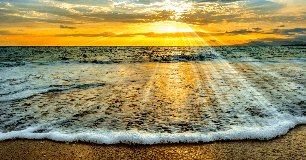 Everything Has Divine Timing