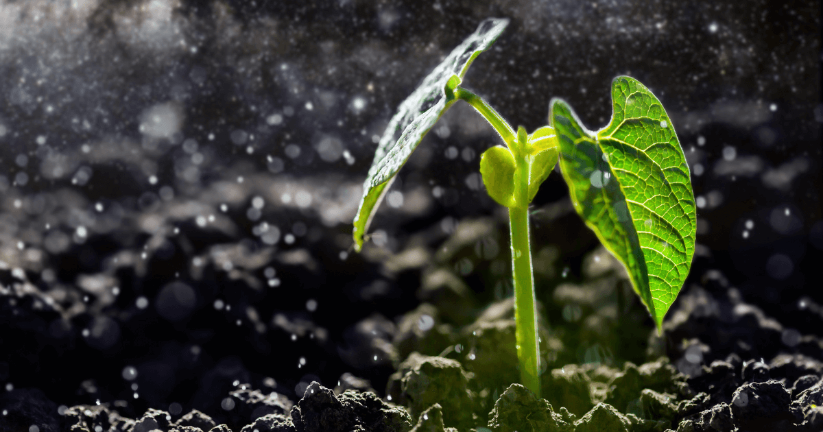Helping You Grow Spiritually