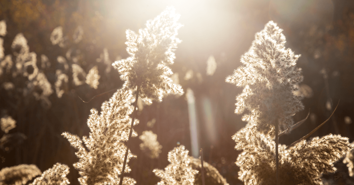 You’re Not Ready for Spiritual Growth